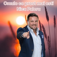 Omule ce prost mai esti - Single - Nicu Paleru