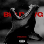 BIG DAWG - Single