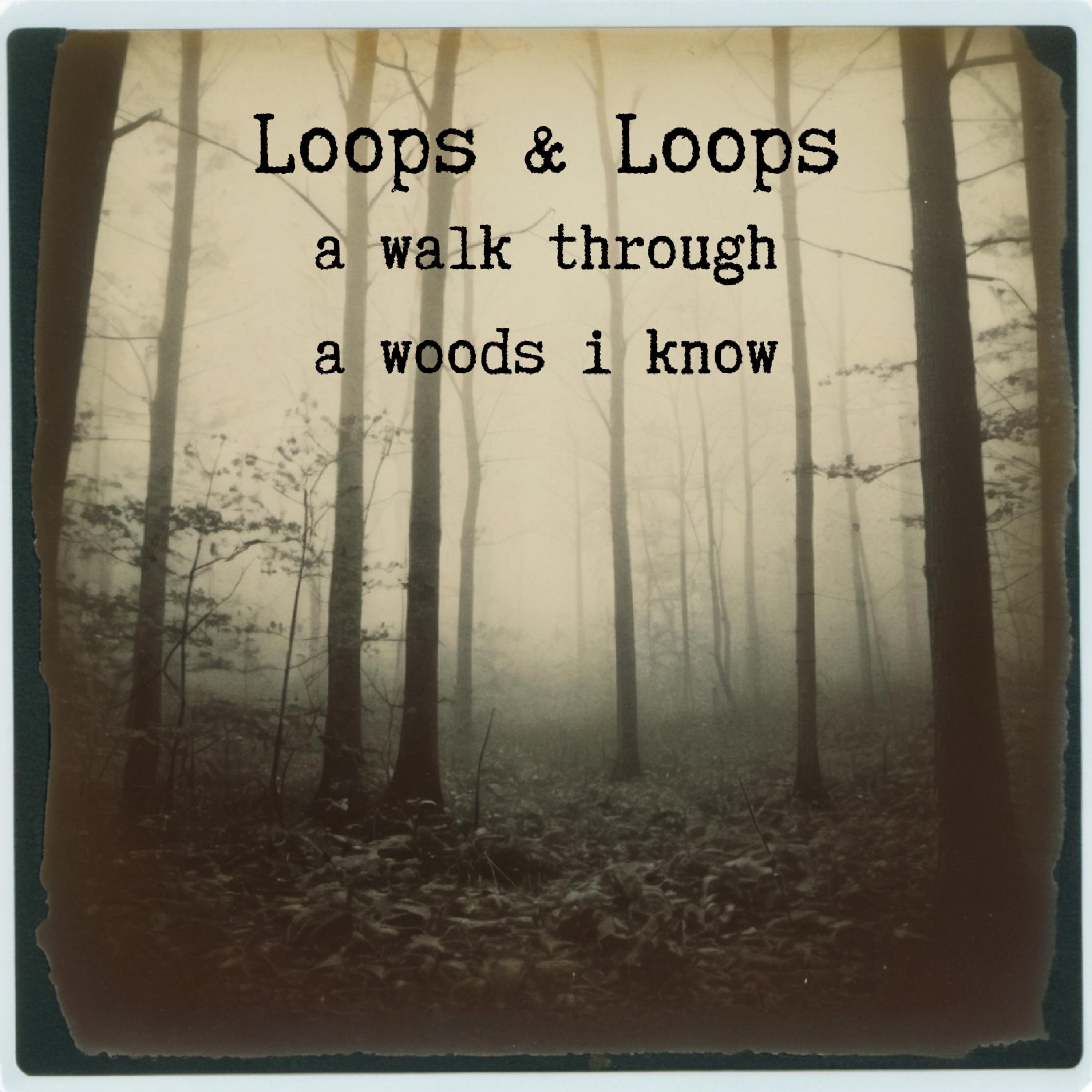 a walk through a woods i know