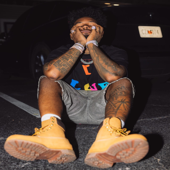 Bibles over Birkins song art