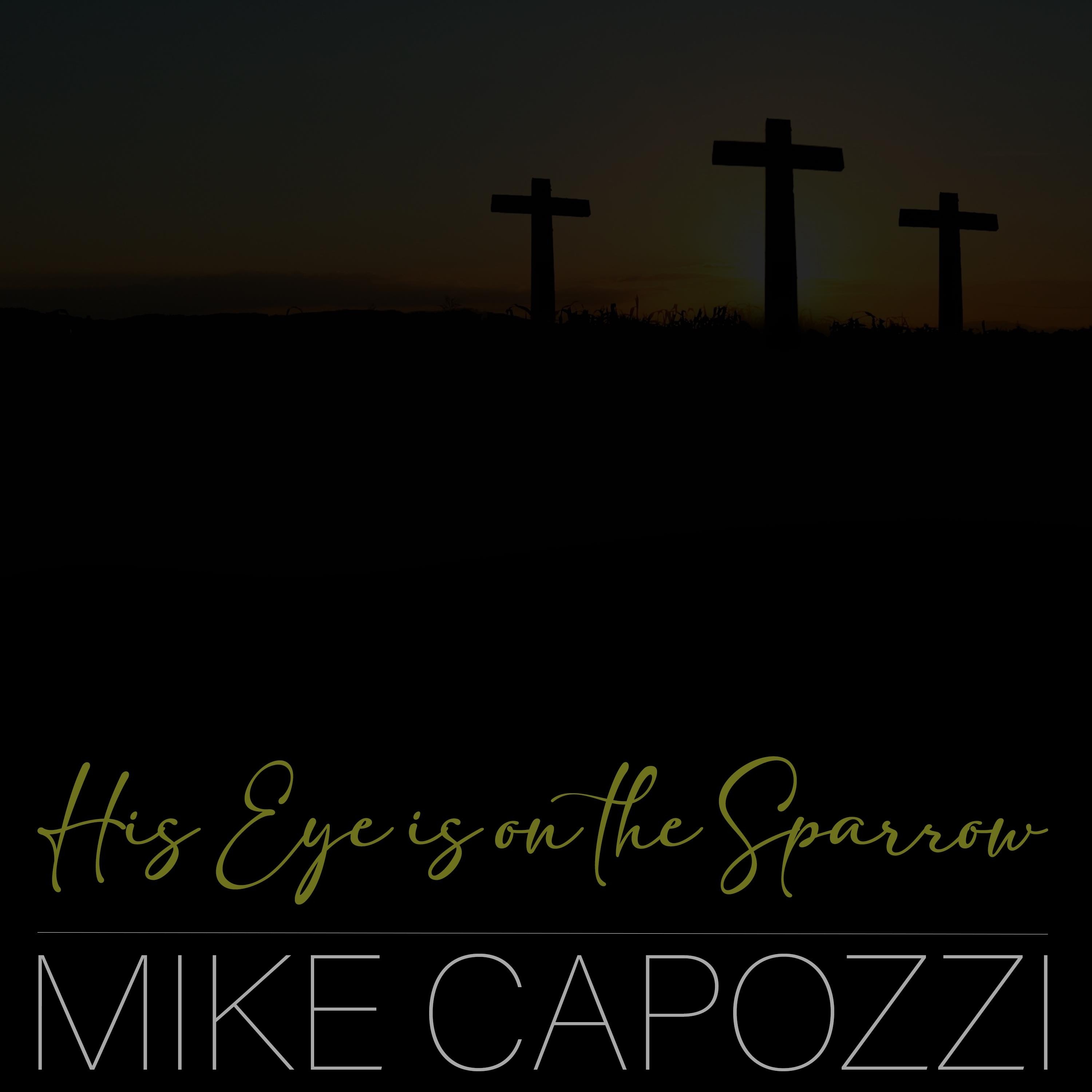 His Eye Is on the Sparrow - Single