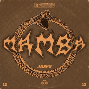 mamba