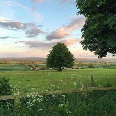 n posso falhar (feat. Magic031) - Single