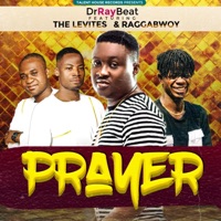 Prayer (feat. The Levites & RaggaBwoy) - Single - Drraybeat