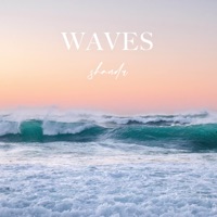 Waves - Single - shandr