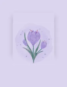 Listen to Purple Tulips, watch music videos, read bio, see tour dates & more!