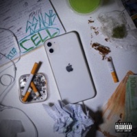 Cell - Single - Gsnob & Pitg