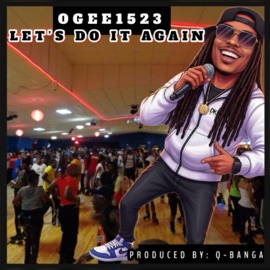 LET'S DO IT AGAIN Ogee1523
