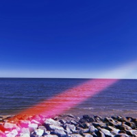 813tampabae - Single - dorian lion