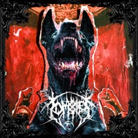 TOLLWUT - Single - ZOMBIEZ