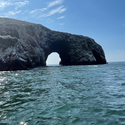 Tu droga (feat. Vitorio) - Single