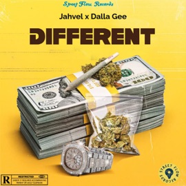 Different Jahvel & Dalla Gee