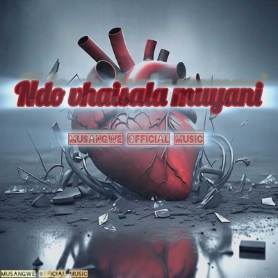 Ndo vhaisala muyani (feat. Mr nice, Askay Simba & Malamba Simba) - Single