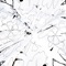 chaga - floraa lyrics