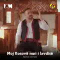 Moj Kosove nuri i lavdise