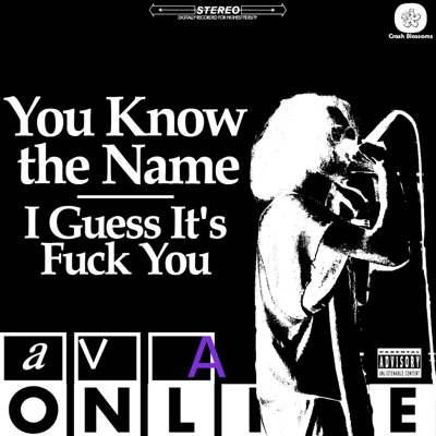 You Know the Name/I Guess It's Fuck You - Single