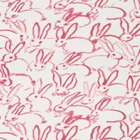 kill that stupid bunni! - Single - bunni below