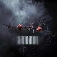 ЗАПОМНИ - Single - OM.