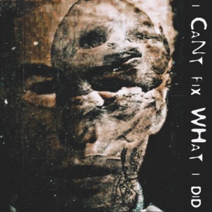 I Can't Fix What I Did (feat. Fried By Fluoride) - Single