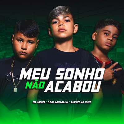 Meu Sonho Não Acabou (feat. DJ 2B SR) - Single
