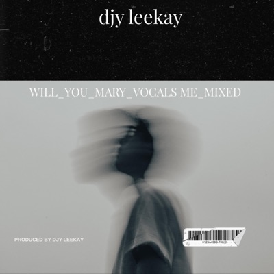 Will_You_Mary_Me (vocals_mixed (Radio Edit) - Single