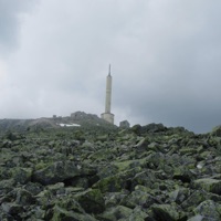 paper planes - Single - ceemor & Jason Masoud