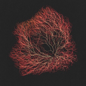 Back Home - Single