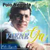 Polo Negrete - Ayúdame a Llegar