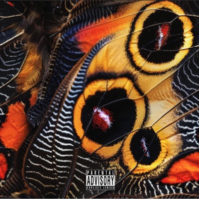 Vuelo de mariposa (feat. MdeMetafora & Seydebeats) - Single
