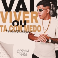 Vai Viver Ou Ta Com Medo - Single - Mc Gabriel Original