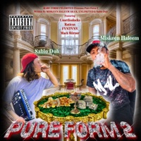 Pure Form 2 - MISKEEN HALEEM aka K. UNLIMITED & Sabio Dub