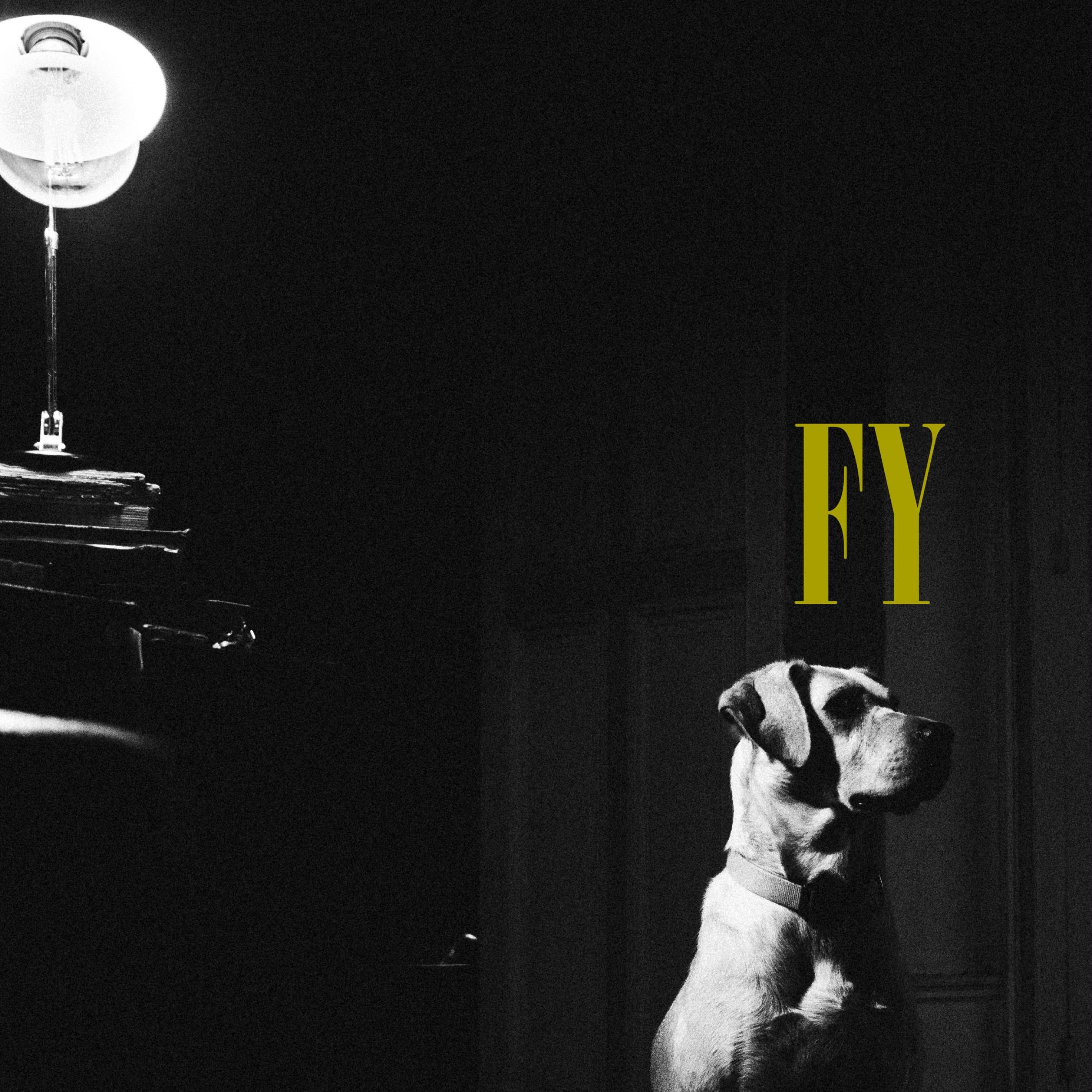 FY (live at Les Chats) - Single