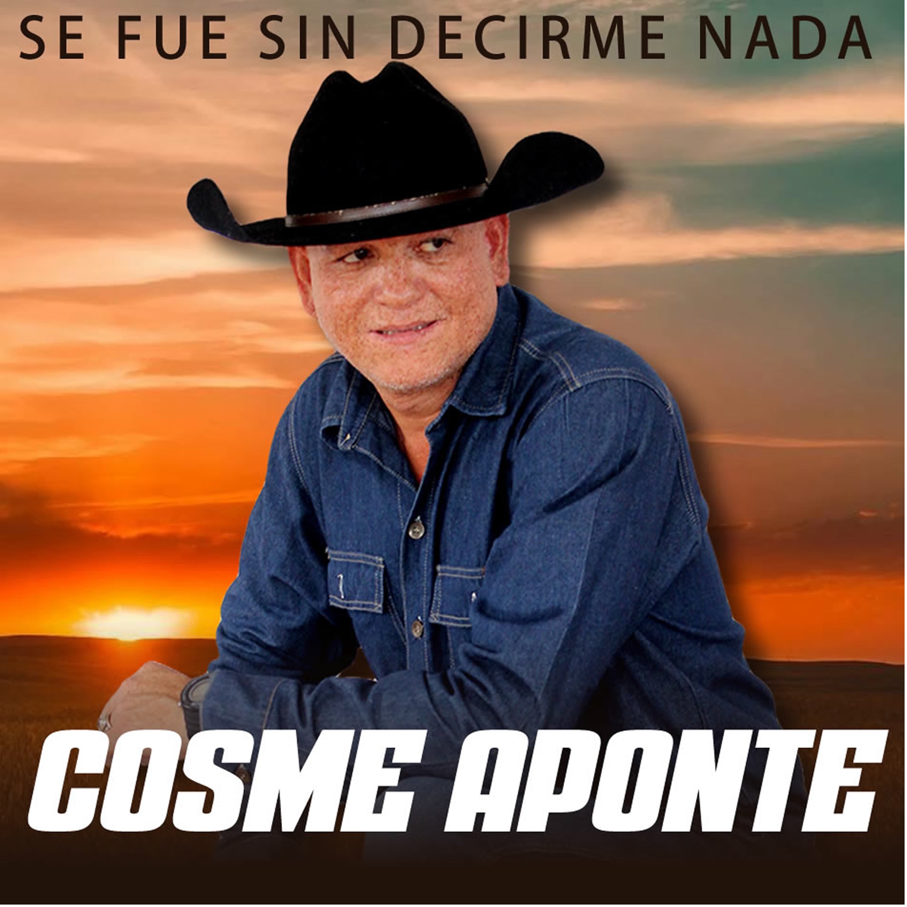 SE FUE SIN DECIRME NADA