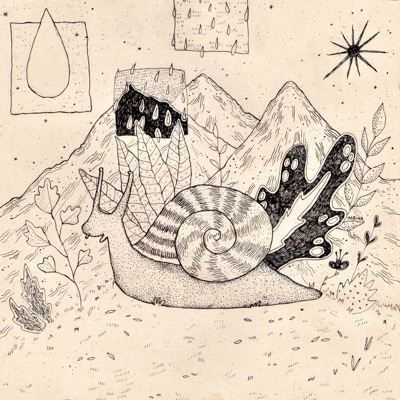 Pensamiento de caracol - Single