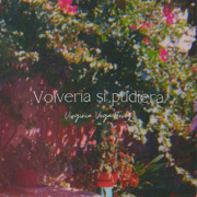 Volvería Si Pudiera - Virginia Vega Tevez