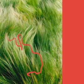 DOM Dayhn & TAKETAKE