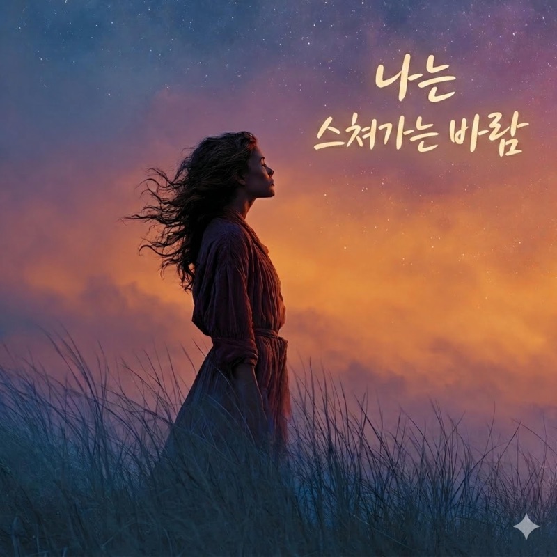 나는 스쳐가는 바람 - Single