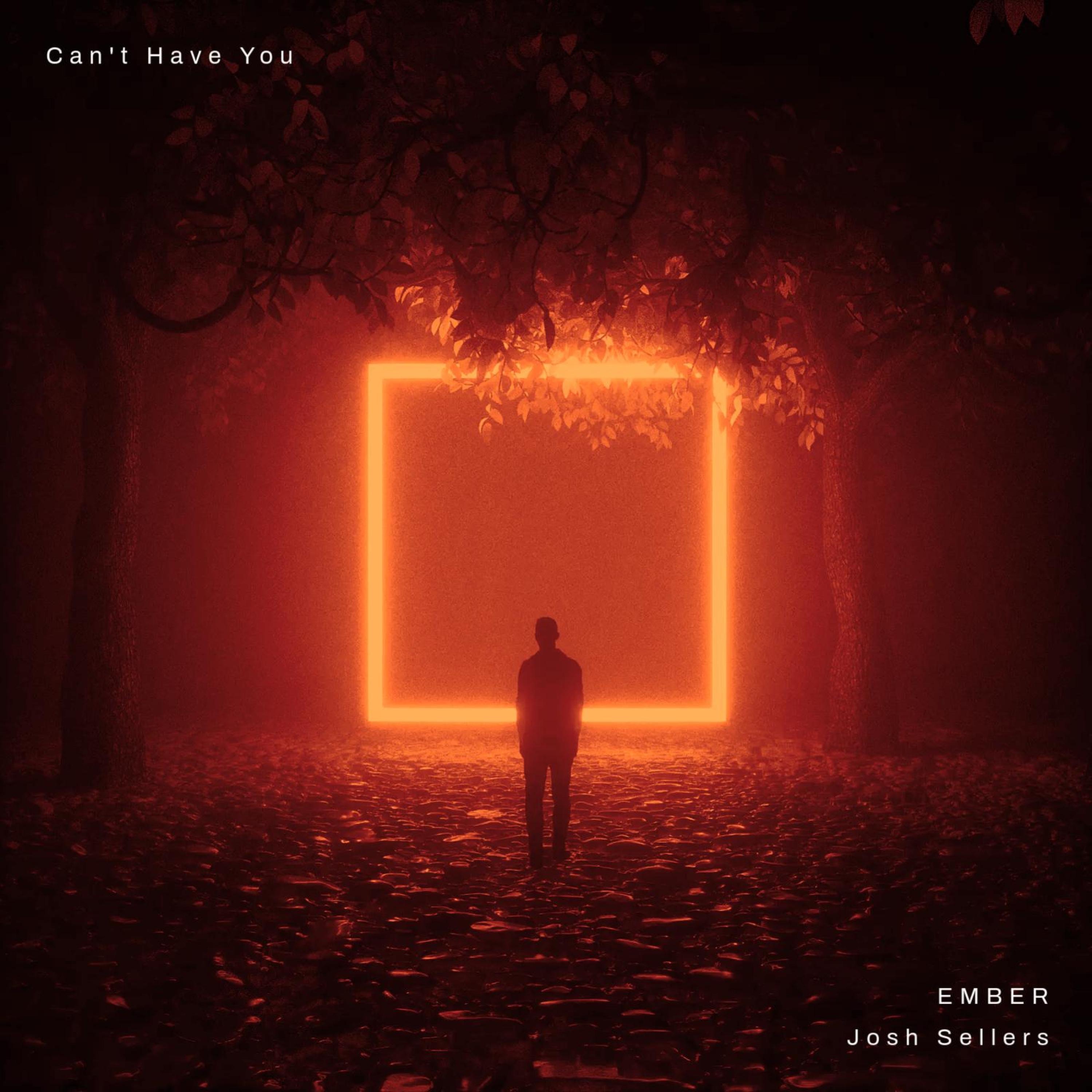 Can't Have You - Single