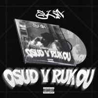 Jediný co mám feat wožel (feat. Wožel) - Single - SLM