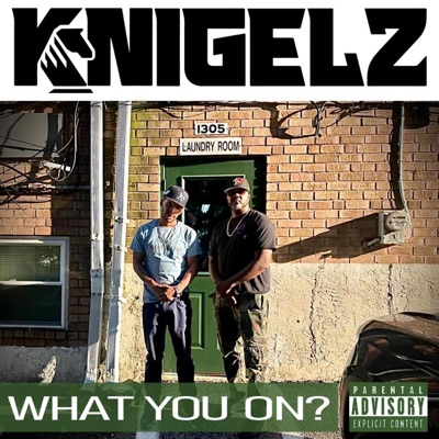 What You On? (feat. Jelani) - Single