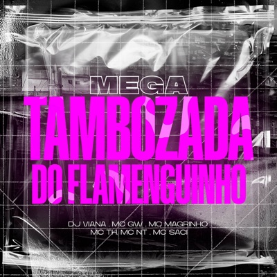MEGA TAMBOZADA DO FLAMENGUINHO (feat. MC NT) - Single