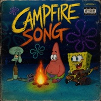 Campfire song (feat. xChosen) - Single - Spinarchive