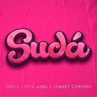 Sudá - Single - Joely