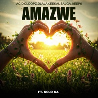 Amazwe (feat. Solo SA) - Single - Acidicloopz, Dlala Ceekai, Salga & Deep6