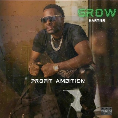 Profit Ambition