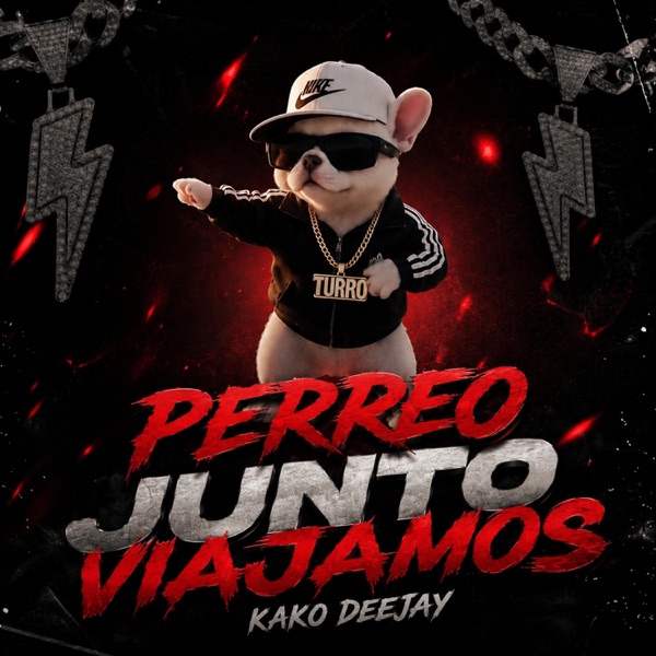 PERREO JUNTOS VIAJAMOS