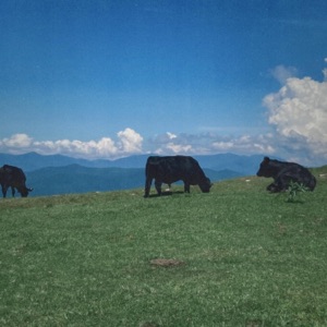 Dissociative Daydream - Single
