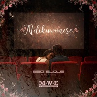 Ndikuwonese - Single - Eso Slique