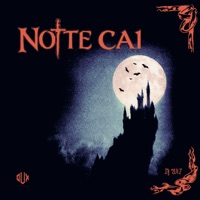 Noite Cai - Single - DJ WL7