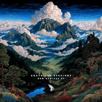 Dem (MFK Remix) - Single - MFK & Anatolian Sessions